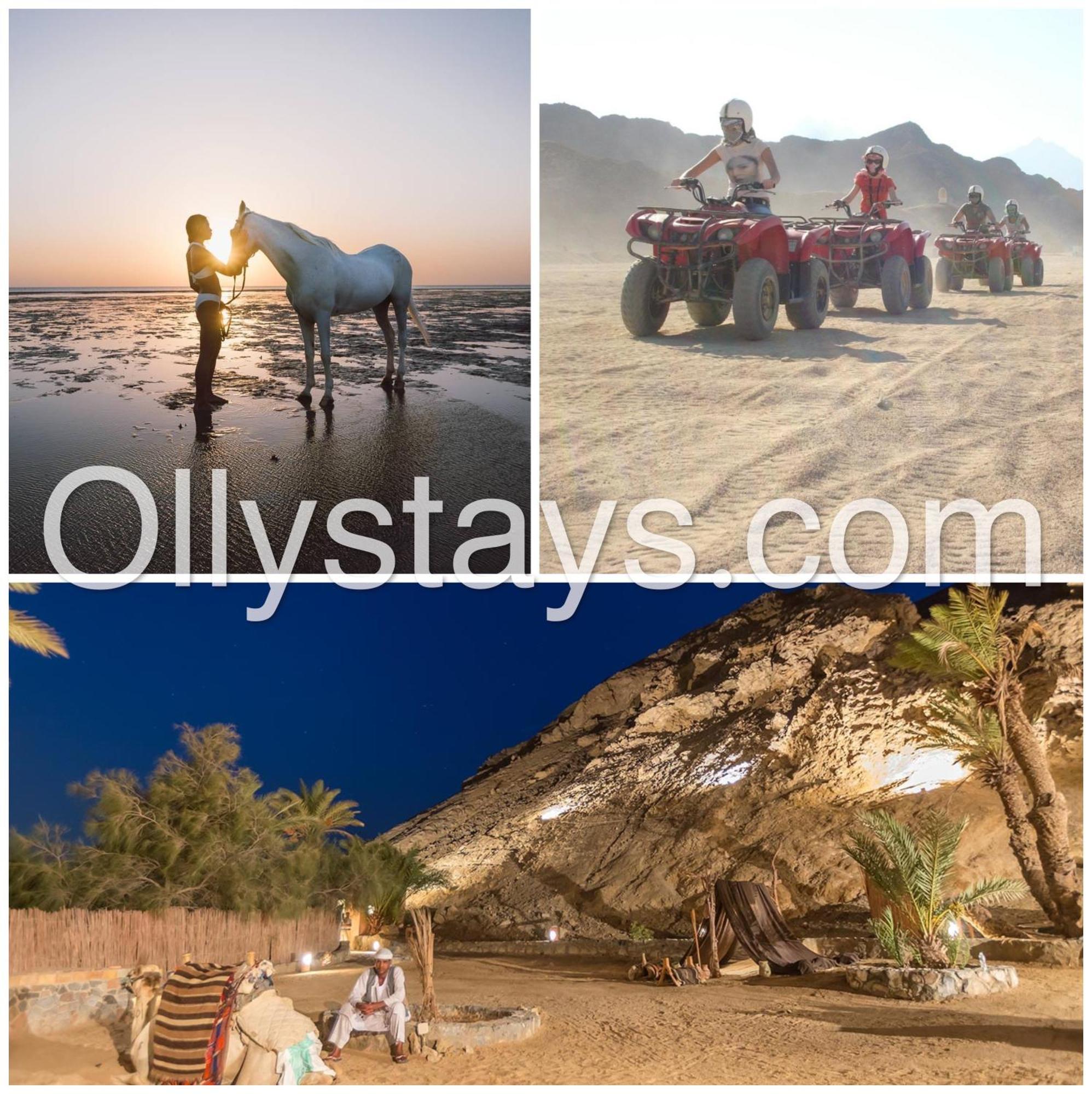 Ollystays Mangroovy 1 Bedroom Beach And Pool Free Access Hurghada Eksteriør billede